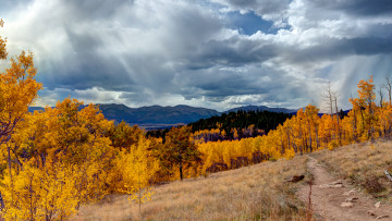 Картинка природа лес горы дорога usa colorado aspen сша аспен колорадо облака осень небо деревья