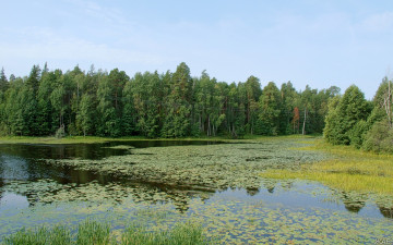 Картинка нижегородский край природа реки озера озеро лес небо