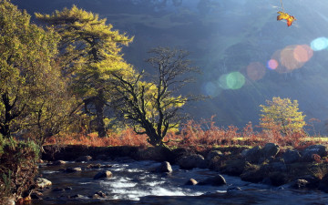 Картинка природа реки озера горы река камни деревья