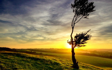 Картинка природа восходы закаты дерево равнина свет солнце трава