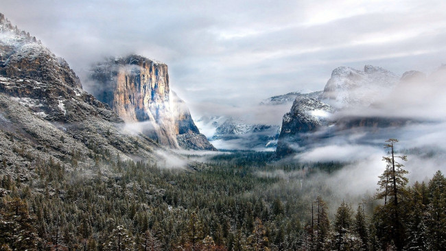Обои картинки фото winter, snow, fog, природа, горы, леса, снег, туман, yosemite, national, park, usa, сша