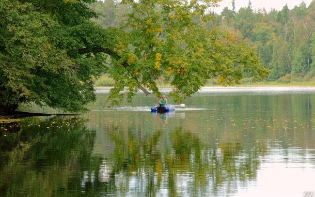 Обои картинки фото нижегородский, край, природа, реки, озера, лодка, рыбак, лес, озеро