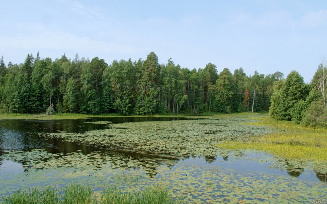 Обои картинки фото нижегородский, край, природа, реки, озера, озеро, лес, небо