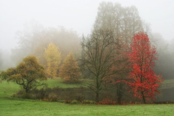 обоя бельгия фландрия meise, природа, реки, озера, пейзаж, озеро, деревья, туман