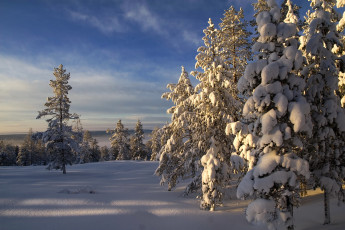 Картинка природа зима finland lapland снег лес