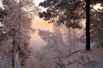 Картинка природа зима снег дорога лес