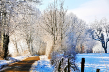 Картинка природа зима снег дорога