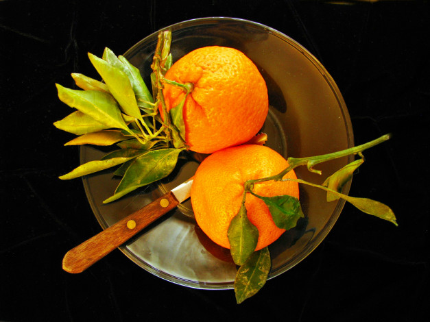 Обои картинки фото еда, цитрусы, апельсины, чаша, нож