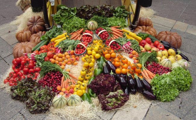 Обои картинки фото еда, овощи, развал, урожай, телега