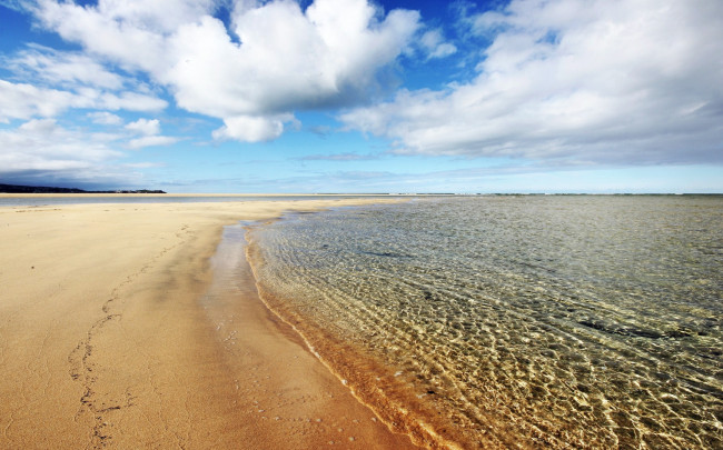 Обои картинки фото природа, побережье, океан, пляж, песок, облака