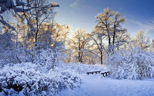 Обои картинки фото природа, зима, мостик, снег, кусты