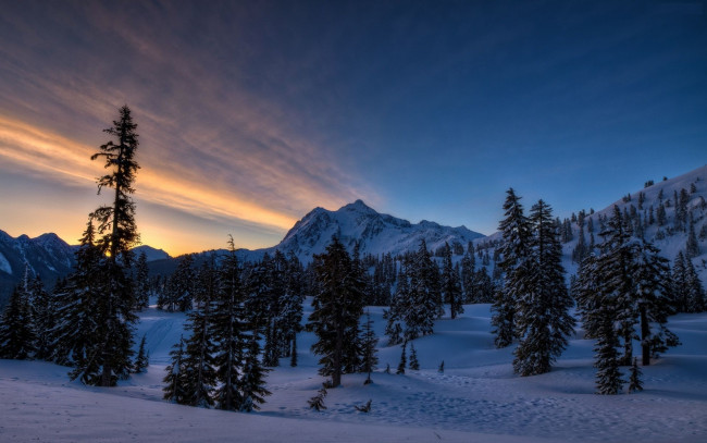 Обои картинки фото природа, зима, снег, деревья, сумерки, горы