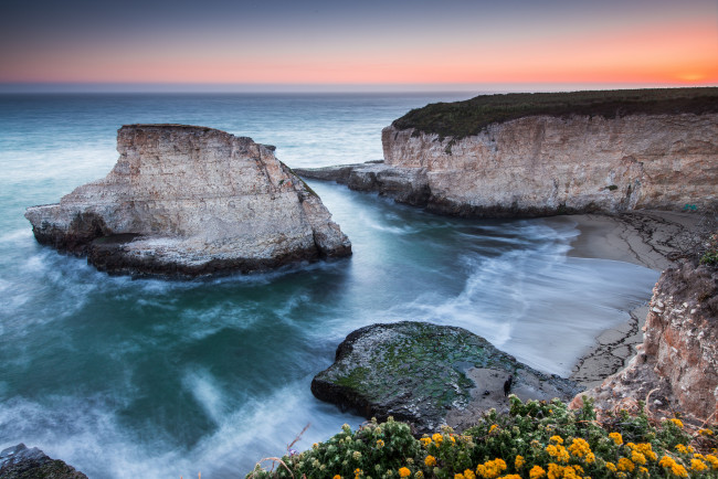 Обои картинки фото природа, побережье, океан, скалы, цветы, горизонт, заря