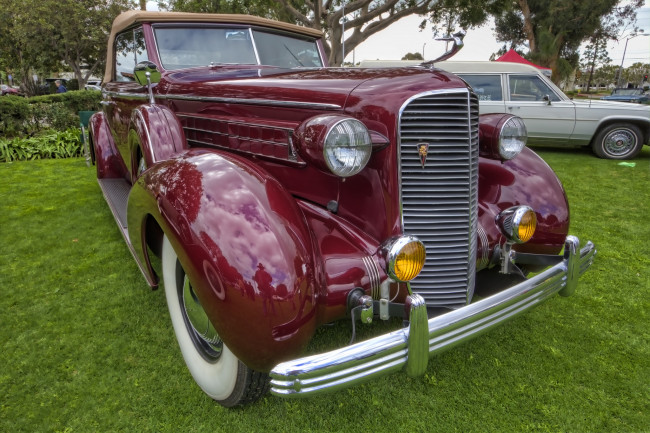 Обои картинки фото 1936 cadillac model 8067 v12 convertible coupe, автомобили, выставки и уличные фото, автошоу, выставка