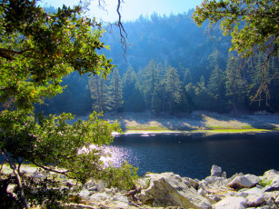 Картинка природа реки озера камни берег