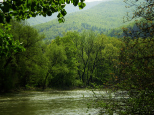 Картинка природа реки озера вода горы деревья