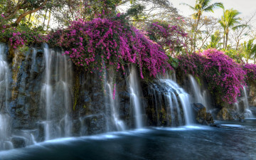 Картинка природа водопады пальмы вода