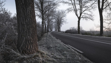 Картинка природа дороги деревья дорога