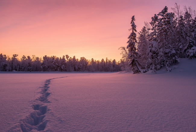 Обои картинки фото природа, зима, снег, ночь, след