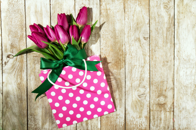 Обои картинки фото цветы, тюльпаны, бант, пакет, бутоны