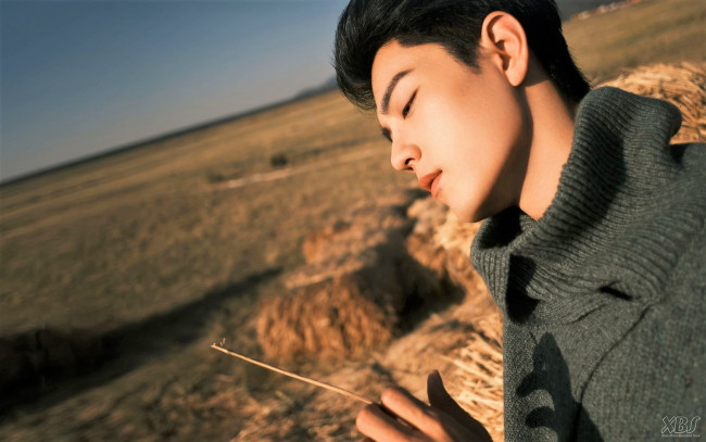 Обои картинки фото мужчины, xiao zhan, актер, свитер, соломинка, сено