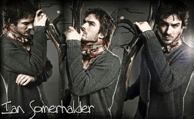 Обои картинки фото мужчины, ian somerhalder, актер, коллаж, шарф, свитер, ветки
