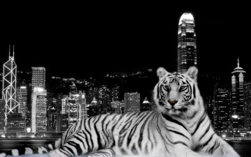 обоя фэнтези, существа, черно-белое, огни, тигр, ночь, дома, здания, город
