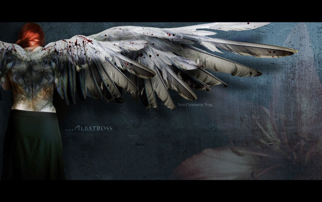 Обои картинки фото albatross, wings, girl, фэнтези, ангелы