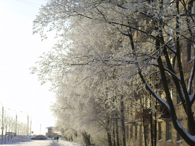 Обои картинки фото 