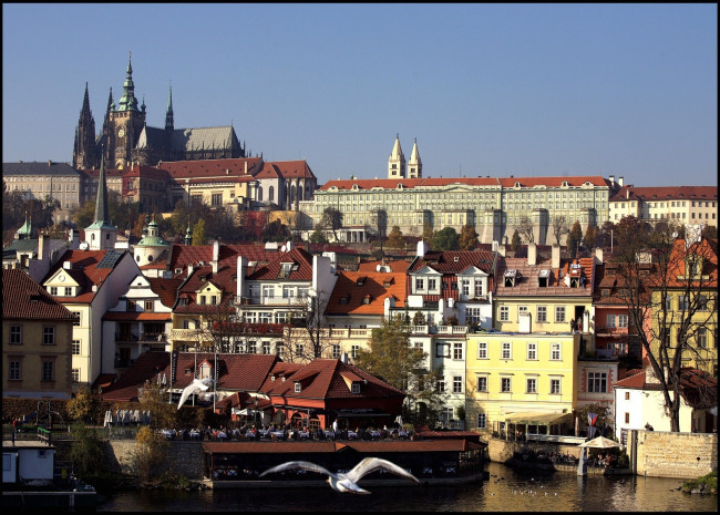Обои картинки фото прага, Чехия, города, собор, чайки, дома, река