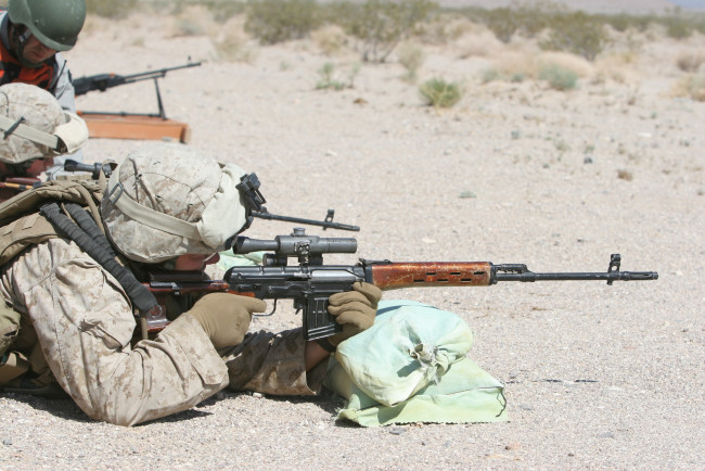 Обои картинки фото пиндосы, свд, оружие, армия, спецназ, винтовка, снайпер