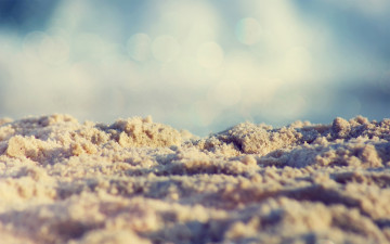 обоя природа, макро, пляж, блики, песок