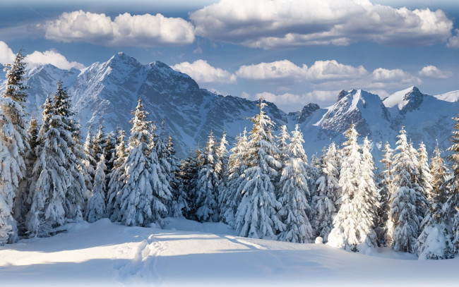 Обои картинки фото природа, зима, лес, горы, красиво, облака, небо