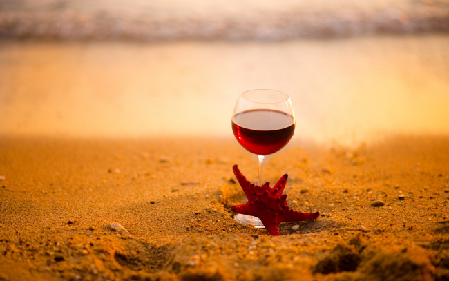 Обои картинки фото еда, напитки,  вино, песок, звезда, морская, вино, бокал