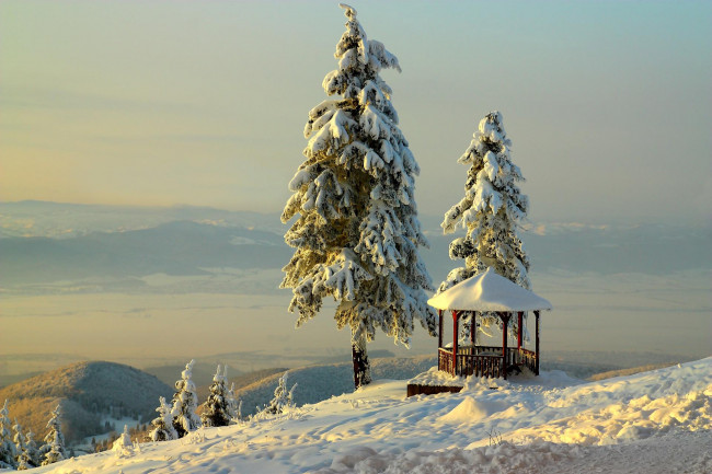 Обои картинки фото природа, зима, елка, снег, беседка