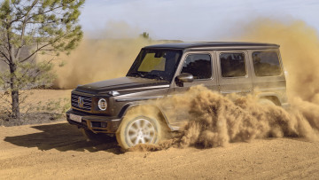 обоя mercedes-benz g-class g550 2019, автомобили, mercedes-benz, 2019, g550, g-class