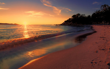 Картинка природа побережье облака небо деревья солнце закат берег пляж море