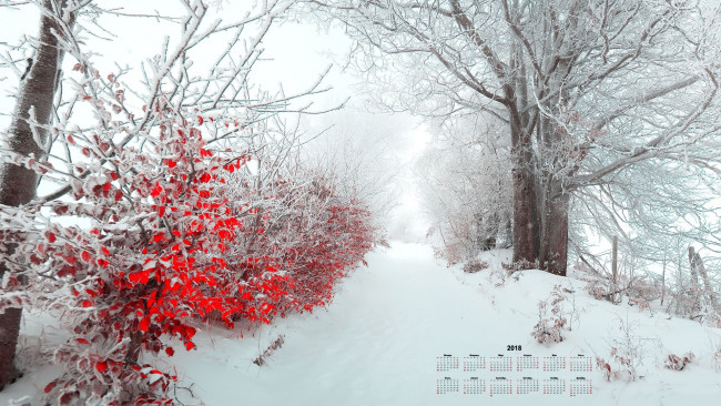 Обои картинки фото календари, природа, листья, зима, снег, деревья, 2018