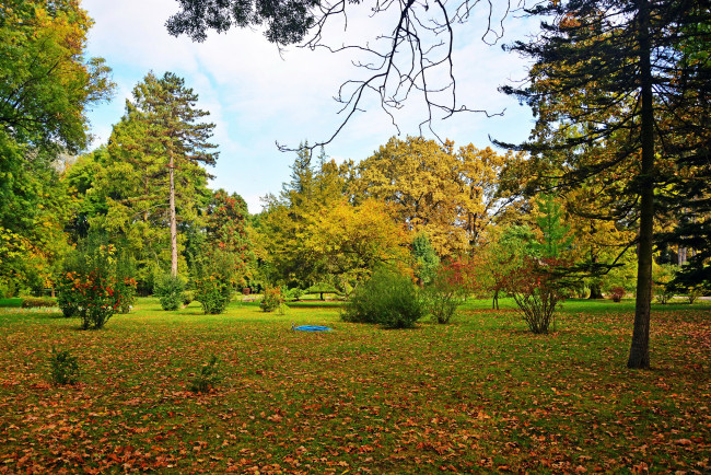 Обои картинки фото природа, парк, лужайка, листопад, осень