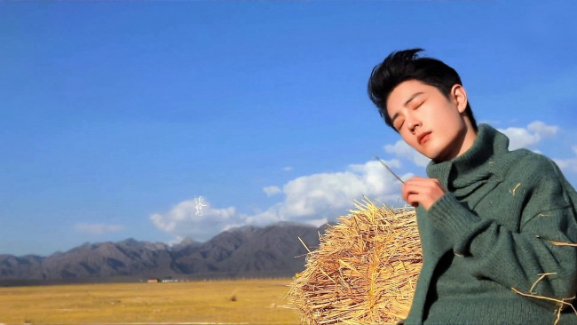 Обои картинки фото мужчины, xiao zhan, свитер, степь, солома, горы
