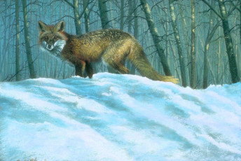 обоя рисованное, животные,  лисы, лиса, снег, лес, зима