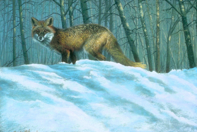 Обои картинки фото рисованное, животные,  лисы, лиса, снег, лес, зима