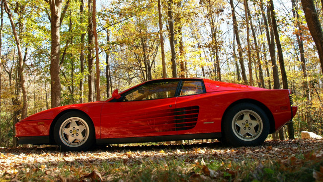 Обои картинки фото ferrari, 512, testarossa, автомобили, феррари, италия, спортивный