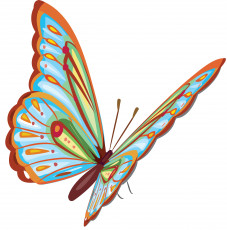 Картинка векторная+графика бабочка