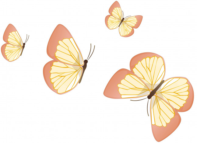 Обои картинки фото векторная графика, бабочки