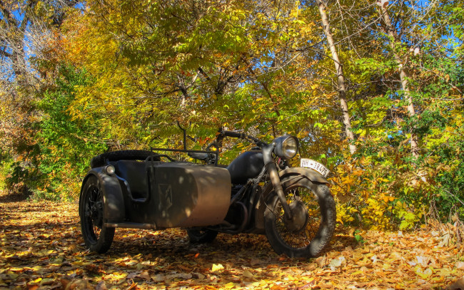 Обои картинки фото мотоциклы, мотоциклы с коляской, листва