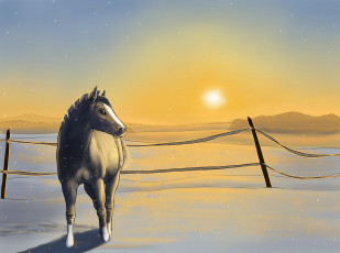 обоя рисованное, животные,  лошади, лошадь, снег, закат