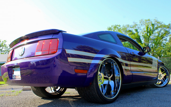 Обои картинки фото автомобили, mustang, rod, size, over, wheel, purple, ford