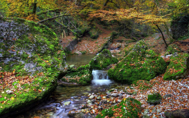 Обои картинки фото природа, водопады, осень, мох, камни, лес, водопад, ручей