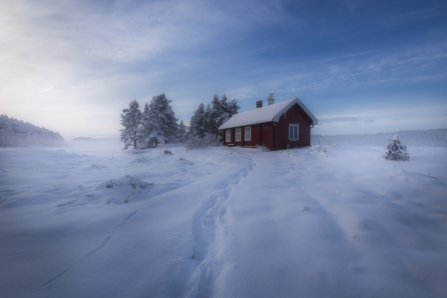 Обои картинки фото природа, зима, норвегия, снег, домик, деревья